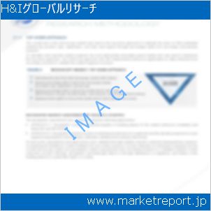 市場と産業調査レポートのイメージ